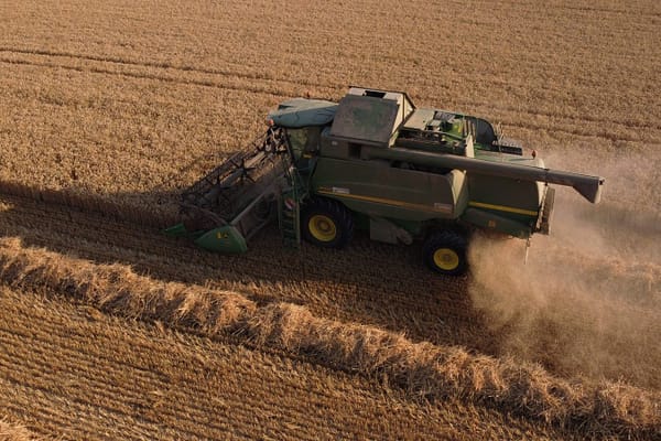 How To Select The Right Seeds For Your Farm. How To Select The Right Seeds For Your Farm