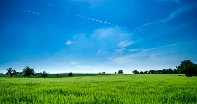 How Does A Seed Drill Work?