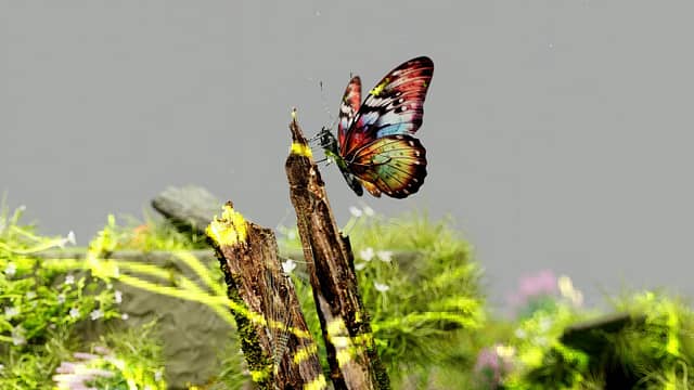 Promoting Beneficial Insect Habitats