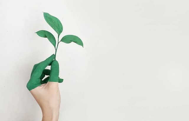 Crop Residues and Dedicated Energy Crops