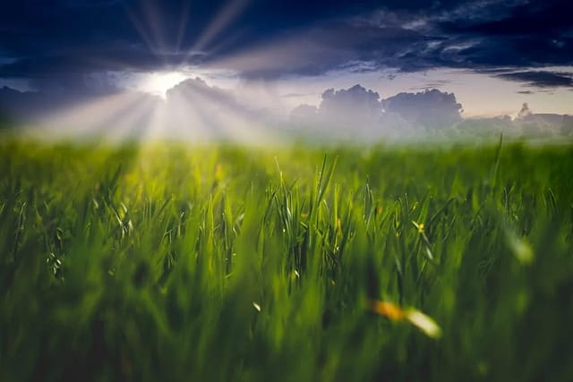 How Do Weather Patterns Affect Farming?