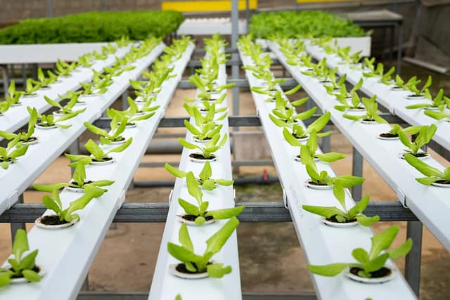 Fertilizer Formulations